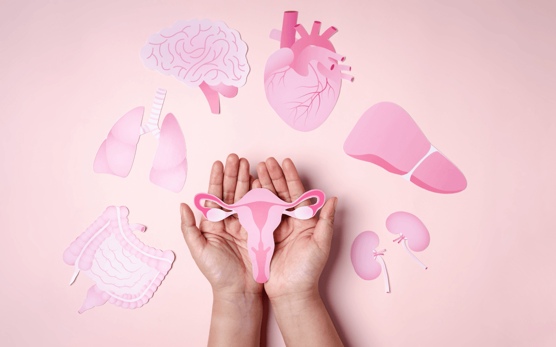 Perimenopause Timeline: Symptoms, Hormones and What to Expect from 35 to 52